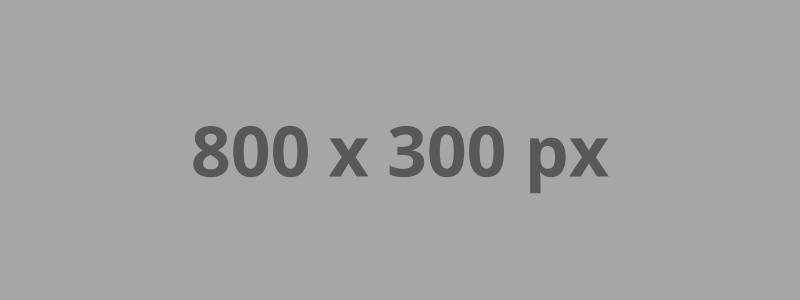 Banner 1